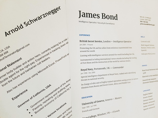portfolio projects showcase